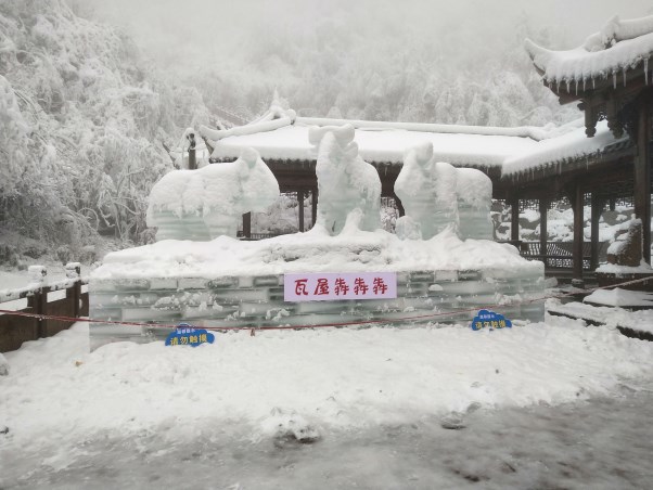 微信图片_20201210141701.jpg
