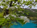 成都九寨沟黄龙四姑娘山熊猫乐园或都江堰2+1头等舱100%真纯玩川西王炸6日游