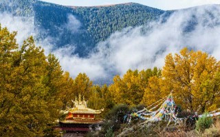 草原到盆地！内*老乡的四川玩全攻略，火锅咋点？高原反应咋整？