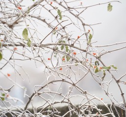 成都出发1.5h，闯入秘境小森林，避暑、耍水、吃冰镇西瓜，巴适得板！