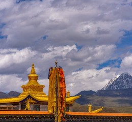 成都真的有夕阳红交响乐团吗？我花了三天，结果愣住了