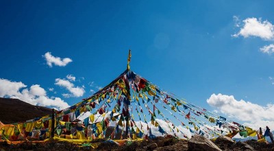 成都郫县这家养老院，成了我今年更治愈的旅行地