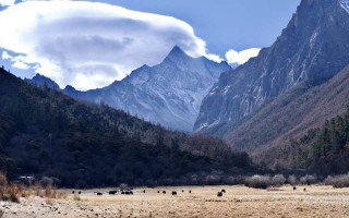 南宁老友成都行 5-6天双人游真实花费大揭秘，这样玩性价比更高！