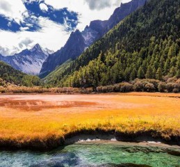 双流周边游，这些成都特产不买真的亏大了（附避雷指南）