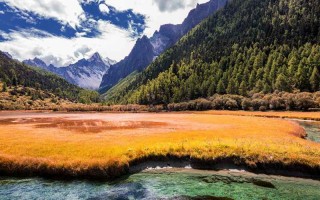 当九寨沟遇到暑期，一份不挤不累、清澈到心底的游玩指南