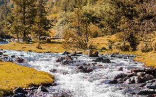 粽香四溢时，成都周边私藏好去处