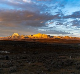 我私藏的成都夕阳红一日游路线，美到想让爸妈赶紧来！