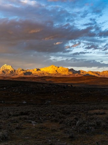 成都藏在公园里的夕阳红球场，60岁以上免费，电话我帮你挖到了！