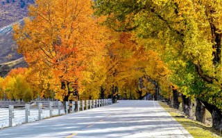 奔赴川西的童话与烟火，一份不赶路的成都+九寨沟五日漫游手记