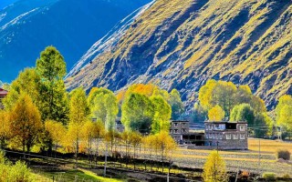 独行成都，一份献给自己的慢旅行图鉴