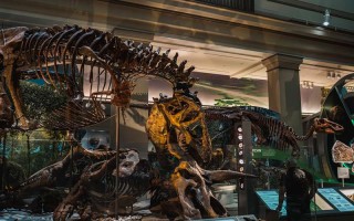 成都人私藏的岛玩清单，不用出川，这些神仙小岛够你浪！