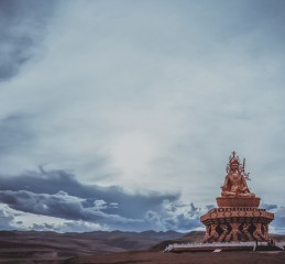 成都夕阳红公交卡？别找了，真相其实更香！