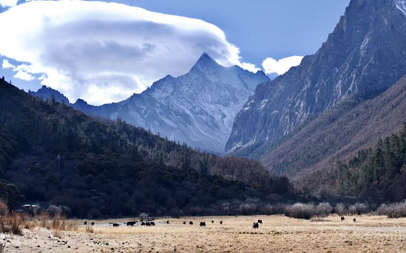 南宁老友成都行 5-6天双人游真实花费大揭秘，这样玩性价比更高！-第1张图片-四川省中国青年旅行社