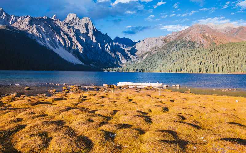 从邢台到九寨沟，1600公里的仙境之旅，这份攻略帮你把路费省到心坎里！-第4张图片-四川省中国青年旅行社
