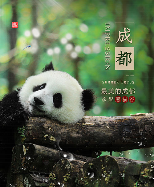 最美成都欢聚熊猫谷